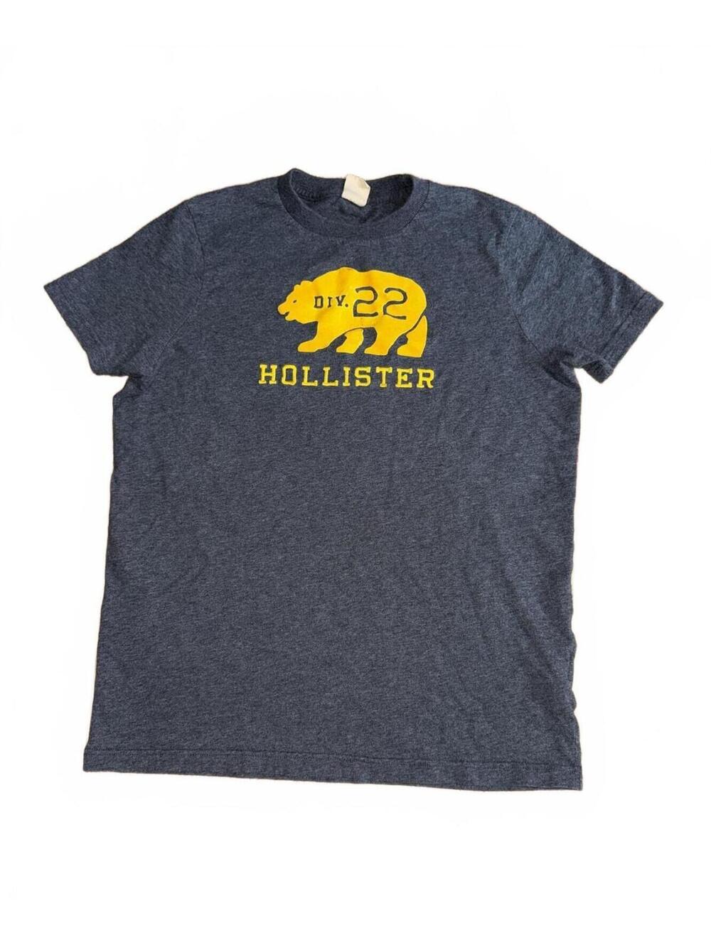 Vintage Hollister California Men's Graphic T-Shirt Large
